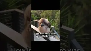 How innocent bro was when i first met him 😭✌️ #memes #humor #slideshow #funny #funnyimages #shorts