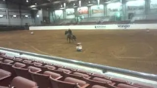 Gogo fame winning the jackpot/derby at glen rose