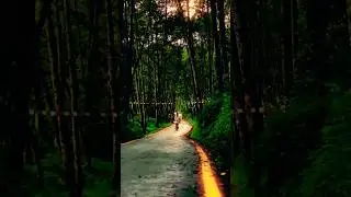 Aesthetic Mansonview of godawaori !!!! #shorts #ytshorts  #support #aesthetic #travel #beautynepal