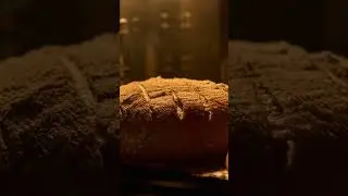 Why Bread Rises: The Science of Yeast