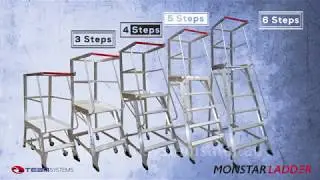 Monstar Order Picker Platform Ladder Features