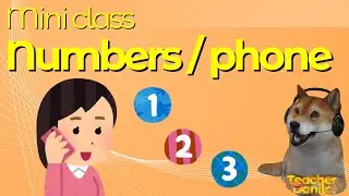 MiniClass - Numbers, phone numbers and age [English]