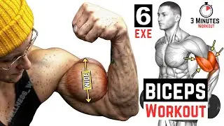 The Best Biceps Workout for Beginners (RESULTS IN 4 WEEKS)
