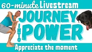 Vinyasa Yoga Flow Weekly Livestream | 60-Minute Journey into Power Sequence