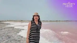 Who Owns the Salt? 🇫🇷 France vs 🇵🇭 Philippines | Mineral Rights & Property Law Explained