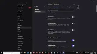 Как добавить разрешение на управление сервером в Discord &mdash; полное руководство