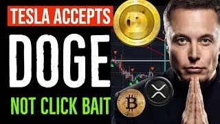 TESLA ACCEPTS DOGECOIN!! HUGE BREAKING NEWS!!!! | Japan Just Did This? This Is HUGE For XRP
