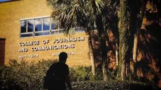 2017: UF's Teaching and Learning Environment