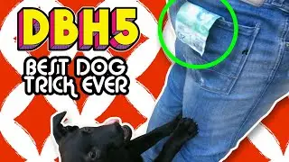 Getting Rich in 24 Hours? Spoiler: We Failed Spectacularly  | Death By High 5ing
