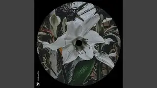Time to Grow (Extended Mix)