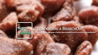 # Agro. BranchOut una empresa americana que quiere comprar frutas Deshidratadas en Panamá. 