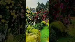 Tranquil Garden Bliss 🌸 | Beautiful Flowers & Nature Music | SM HOUSE VLOG #shorts