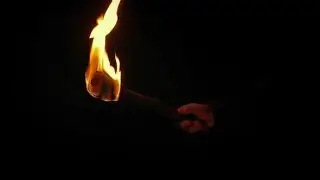 Man Holds Up Fire Torch At Night | Stock Footage - Videohive