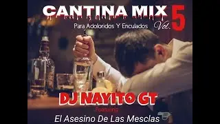 La Cantina Mix  Dj JP J0s3 Tigres, Temerarios, Bukis