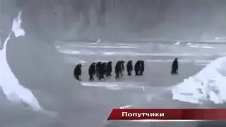 Top 3 Epic Clips Of The Day   July 2013   x10ader