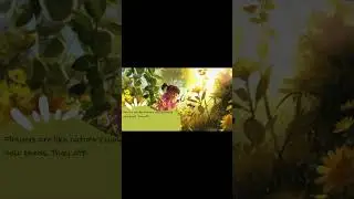 The Amazing Journey of Plants Exploring The Plant 🌱🍀☘️