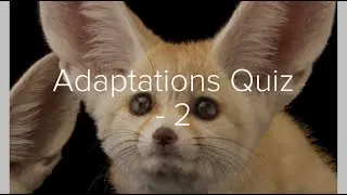 Adaptation Quiz - Part 2