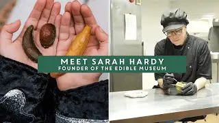 Meet Sarah Hardy, founder of The Edible Museum 🍫