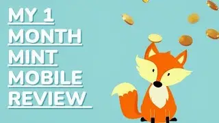 My One Month Mint Mobile Review: Affordable Wireless🦊