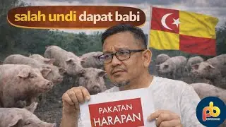 Kalau gabung beratus ladang babi jadi satu pun, takkan sampai 500 ekar Amir? Agak-agaklah!