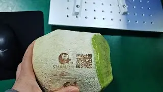Coconut laser marking machine with Co2 laser STARMACNC