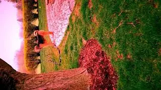 Aridale purebred DOG VideoFX effect filters - video editing - mobile - handheld - galaxy s8+ plus(2)