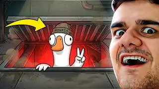 O Novato Que Foi Impostor Duas Vezes Seguidas No Goose Goose Duck (e não sabia matar)