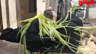 Egungun Irere/Ajija Masquerade's Spiritual Performance during an Ifa Festival in Akure Oloyemekun