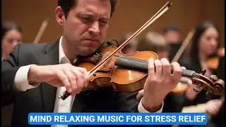 Violin Relaxing Deep Sleep Stress Relief Music+Violin Music For Meditation & Anxiety Relief All Days