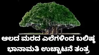ಆಲದ ಮರದ ಎಲೆಗಳಿಂದ ಬಲಿಷ್ಠ ಭಾನಾಮತಿ ಉಚ್ಚಾಟನೆ ತಂತ್ರ | Banamati Ucchatana Tantra Using Banyan Leaf | SR TV