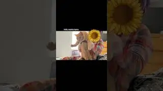 Just to brighten up your timeline #cats #cat #catvideos #yeshua lover 🫶🏾