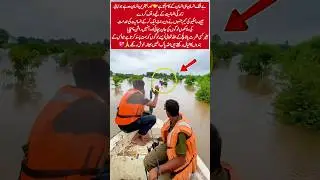 True Humanity Rescue Teams Saving Lives🚑 #Humanity #Rescue #FloodRelief #Inspiration #Pakistan