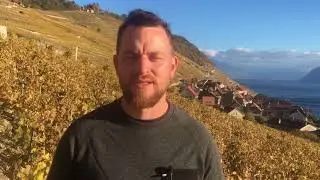 Lavaux wine region & Lavaux wines: with Benjamin Massy (Massy Vins)