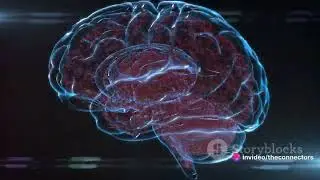 Unraveling Machine Learning Technology