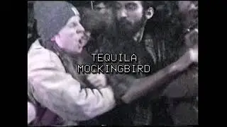 Tequila Mockingbird - Titania [Music Video]