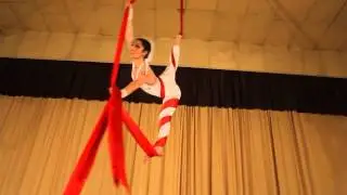 Aerial Silk Act
