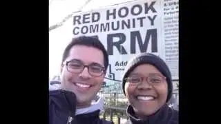 Volunteering at Red Hook Community Farm