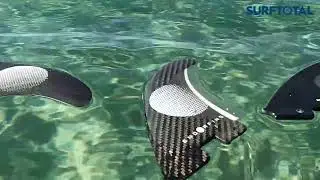 Endorfins at Surftotal TV