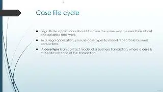 04 Case Life Cycle