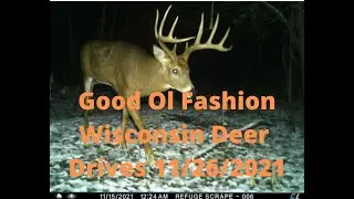 Wisconsin Rifle Season 2021 | Good Ol Fashion Deer Drives | The Quest For The Big 10 | The 2021 Saga