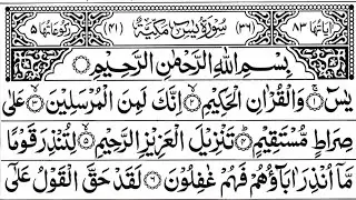 Surah Yaseen Surah Ar Rahman Yaseen Sharif Best Quran Recitation | Surah Yasin Tilawat | Ep_320