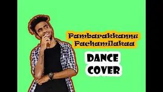 Pambarakkannu Pachamilakaa Best Dance cover |Team squad of unity |Ragav`s choreography