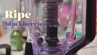 How to Make Blackberry Sour Pops