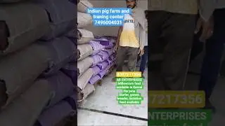 millennium feed available in Karnal Haryana #pigging #farming #pigbreeding #pigfarming