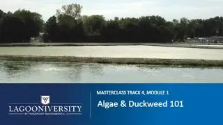 Lagoon Masterclass Track 4, Module 1: Algae and Duckweed 101