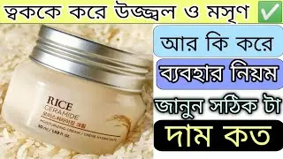 The face shop rice ceramide moisture cream | rice ceramide moisture cream | cream | the face shop