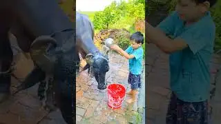 Choti choti gaiya tyy