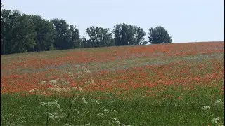 Sommertour 2019 Witzenhausen - Venedig - Füssen Teil 1                    (Witzenhausen - Nürnberg)