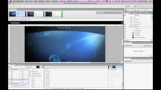 Adobe Flash Catalyst: Working with Video and Audio