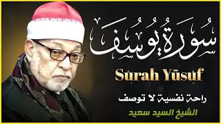 القارىء الشيخ السيد سعيد وماتيسر له من سورة يوسف بجودة عالية HD